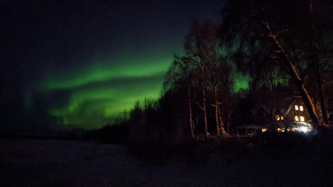 Susitna River Lodging, Backwoods Cabins Talkeetna Bagian luar foto