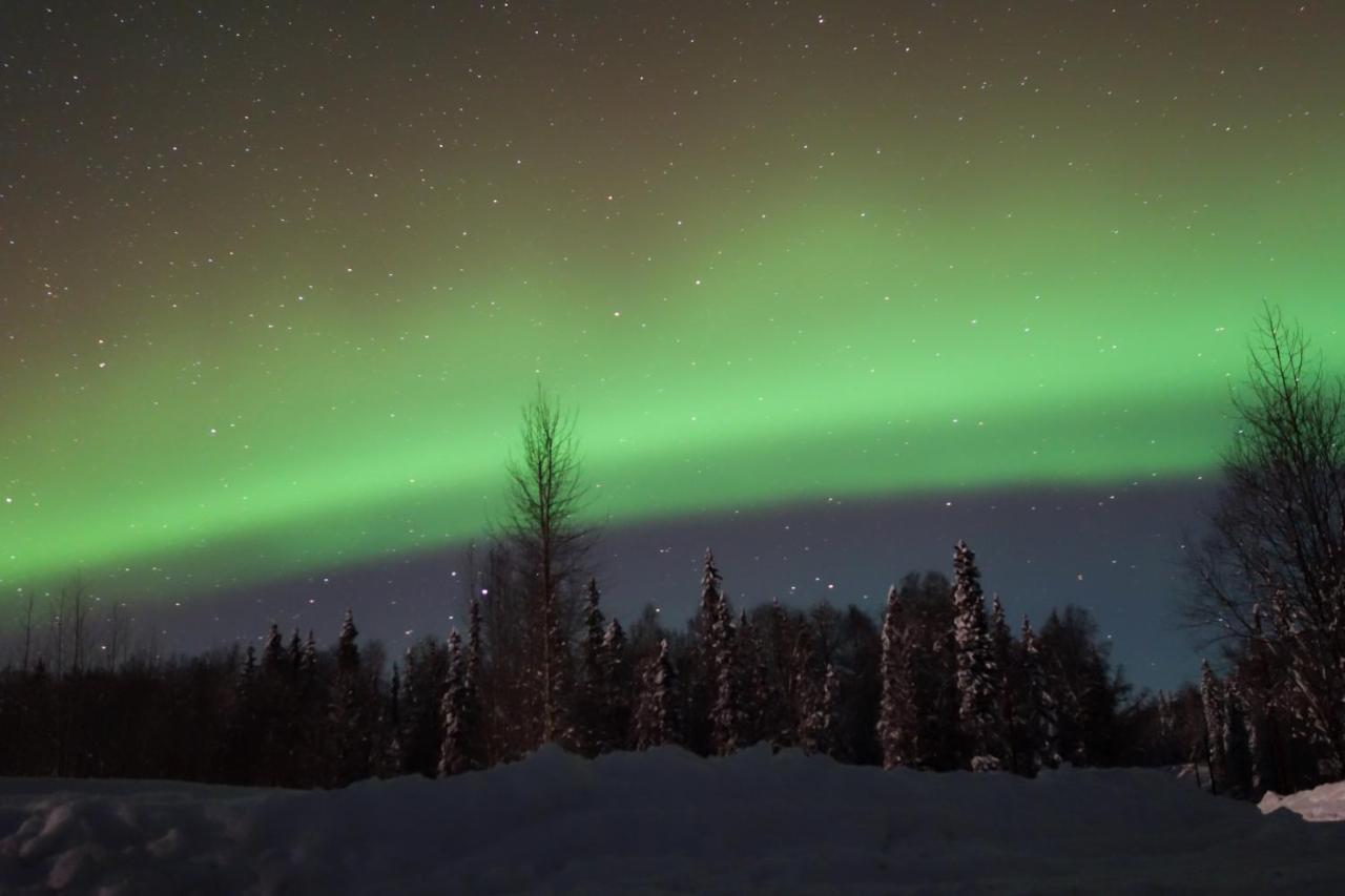 Susitna River Lodging, Backwoods Cabins Talkeetna Bagian luar foto